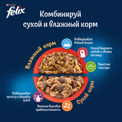 Felix пауч для взрослых кошек ягненок кусочки в желе 75 г