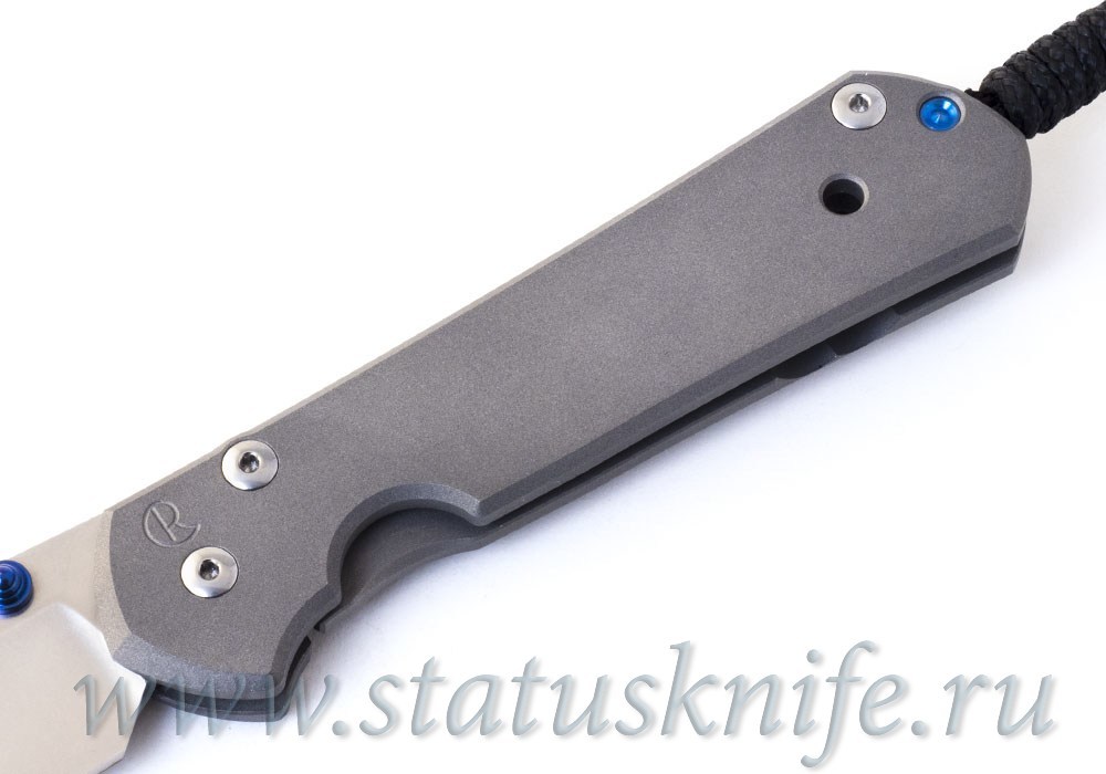 Нож Chris Reeve Knives 2019 Large Sebenza 21