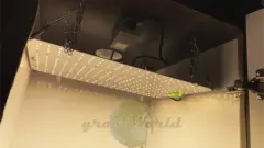 В170хД50хШ50 ГроуБокс-TOWER STEALTH 120W LED + ТЕХ ОТСЕК + ШУМОИЗОЛЯЦИЯ