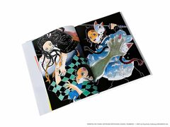 The Art of Demon Slayer: Kimetsu no Yaiba (На английском языке)