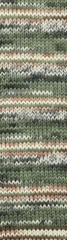 ALIZE "SUPERWASH ARTISAN", 75% SW Шерсть - 25% Полиамид, 100 гр, 420 м, Болото