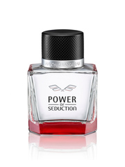 ANTONIO BANDERAS Power of Seduction men 100ml edt