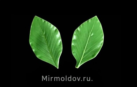 Силиконовый молд 