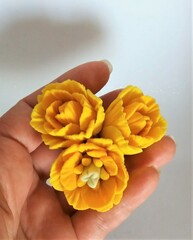 Силикон.форма