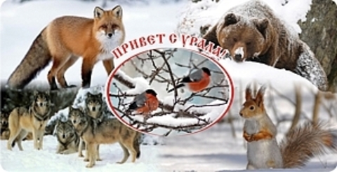 Урал Сувенир - Кружка Урал №0043 Зимний коллаж животные, снегири в центре