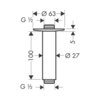 Hansgrohe Raindance 27479820 Держатель для душа потолочный