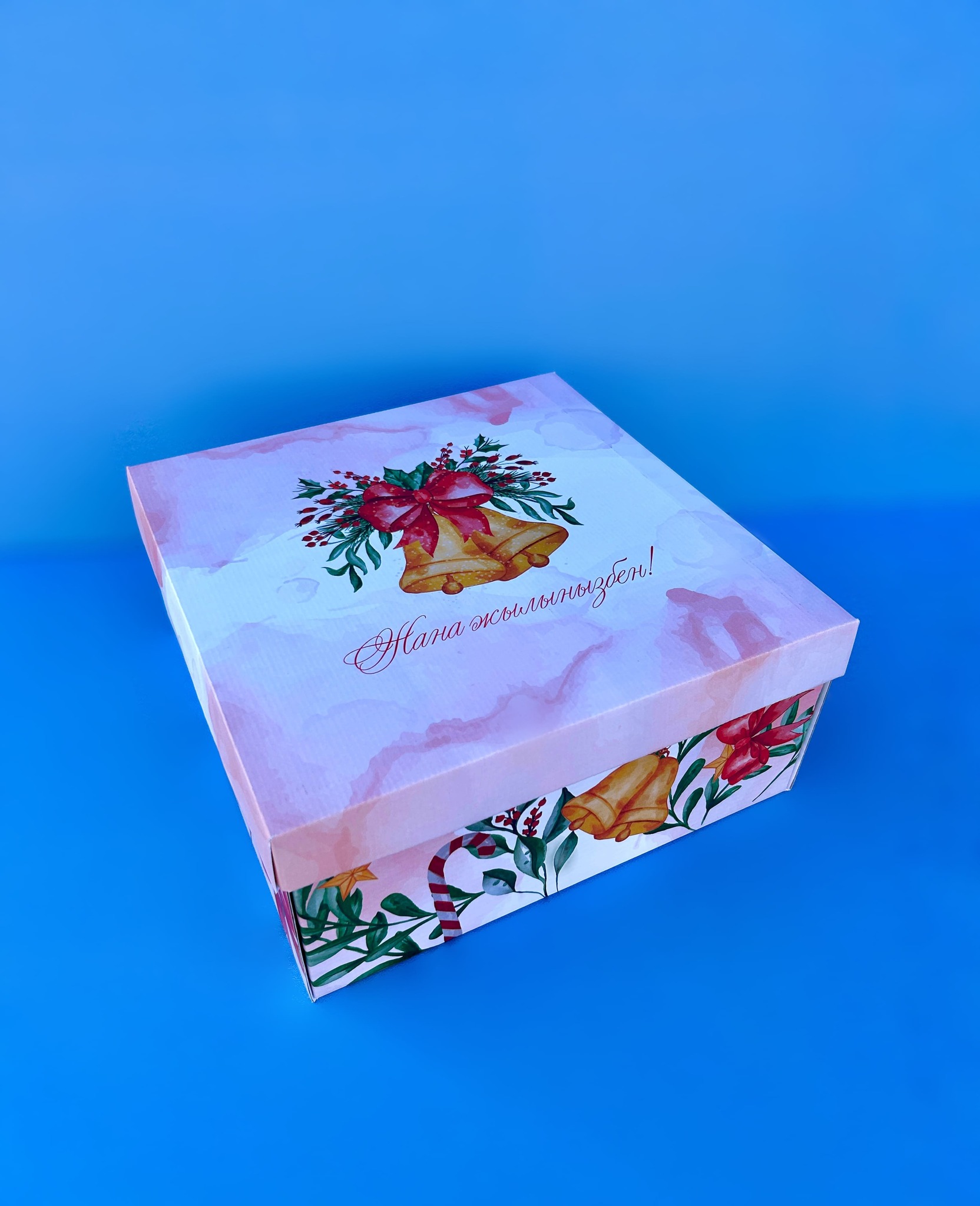 Коробка 250*250*110 