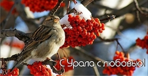 Урал Сувенир - Кружка Урал №0039 Воробей на рябине