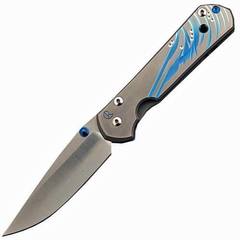 Фото Складной нож Chris Reeve Large Sebenza 21, сталь S35VN, рукоять титановый сплав, гравировка синие водоросли