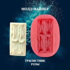 Молд пластиковый+вайнер силиконовый 