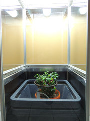 Мини оранжерея 54х54х153