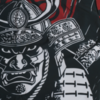 Шорты Hardcore Training Budo