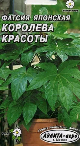 Семена Фатсия Японская, Ком