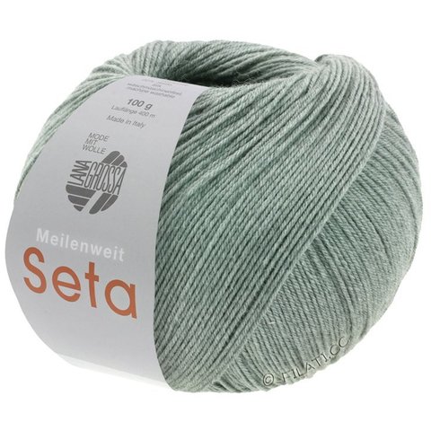 Lana Grossa Meilenweit Seta 014 купить