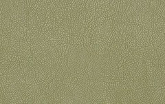 Искусственная кожа Valencia pearl pistachio (Валенсия перл пистачио)