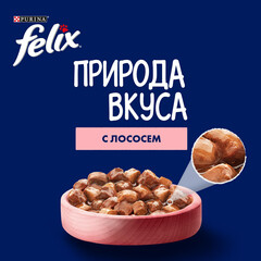 Felix Природа вкуса пауч для взрослых кошек лосось 75 г