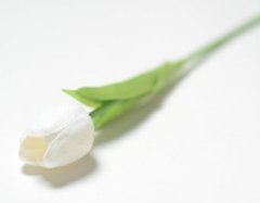 Тюльпан одиночный закрытый, латексный, 35 см, 1 шт.
