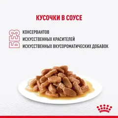 Royal Canin пауч для котят породы Мейн Кун 85г