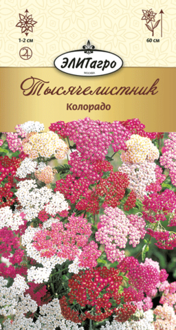 Семена Тысячелистник Колорадо, мнг
