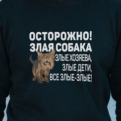 Свитшот "Йорк - все злые"