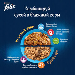 Felix Природа вкуса пауч для взрослых кошек лосось 75 г