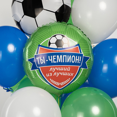 Шар Аг 18''/46 см, Круг, Ты Чемпион, Футбол, 1 шт.