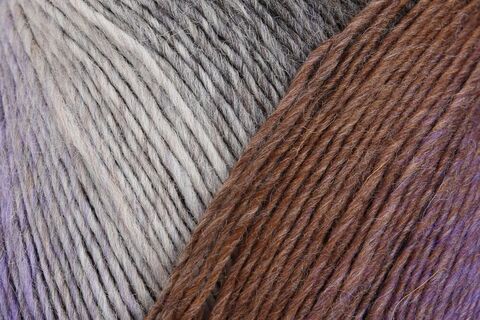 Regia Virtuoso Color 3072 купить