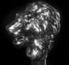 Зонт-трость Pasotti 6434-19-W37 Silver Leo (серебряный лев)