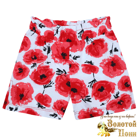 Шорты хлопок девочке (3-7) 230322-BK1475SH.5