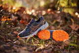 Кроссовки внедорожники Asics Gel-Venture 8 мужские Распродажа