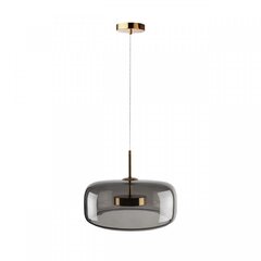 Подвесной светодиодный светильник Loft It Dauphin 10041B
