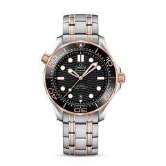 Omega 21020422001001