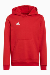 Кофта adidas Entrada 22 Junior