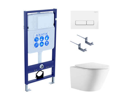 Aquatek SET Aquatek ЛИБЕРТИ-061 4в1 SET Aquatek ЛИБЕРТИ-061 4в1 (рама Aquatek Standard INS-0000012+крепёж KKI-0000002+клавиша KDI-0000061+унитаз ЛИБЕРТИ AQ1999T-00 с тонким сиденьем sc)