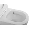 BelBagno BB2141CB-TOR/SC Унитаз приставной безободковый с сиденьем дюропласт soft close
