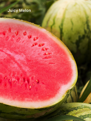 JUICY MELON БЛЕСК ДЛЯ ГУБ