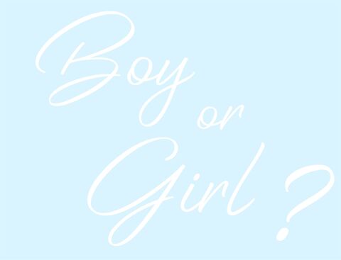 Наклейка на шар, Boy or Girl, , Белый, 18*22,5 см, 1 шт.