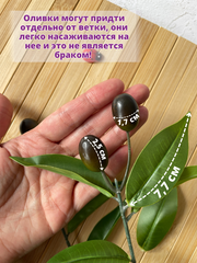 Ветка оливы, Искусственная зелень, 4 оливы, ветка 46 см, на одной ножке 4 ветки.