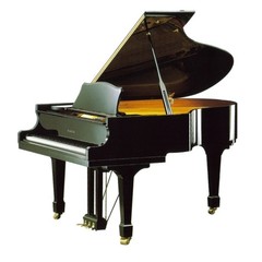 Samick NSG186D EBHP