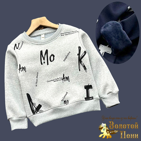 Толстовка на меху м (3-7) 240826-GF1421