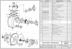 Пробка DDE WP250/PN25-II сливная/заливная (919-891-009)