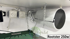 В180хД80хШ60 ГроуБокс FLASHER 200W или Rootster Board 250W LED SUPERSILENT