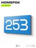 Номер на дверь 253, табличка на дверь для офиса, квартиры, кабинета, аудитории, склада, голубая 120х70 мм, Айдентика Технолоджи