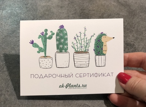 Подарочный Сертификат на 3000р