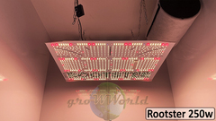В180хД80хШ60 ГроуБокс FLASHER 200W или Rootster Board 250W LED SUPERSILENT