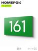 Номер на дверь 161, табличка на дверь для офиса, квартиры, кабинета, аудитории, склада, зеленая 120х70 мм, Айдентика Технолоджи