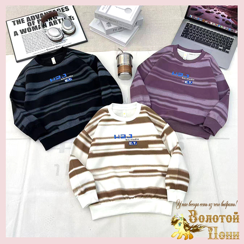 Свитшот хлопок м (5-10) 260714-Z-1353