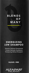 Шампунь для объема тонких и редеющих волос ENERGIZING LOW SHAMPOO, пробник 10 мл
