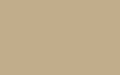 Раскладка внутренняя для керамической плитки Идеал 10 мм 012 Бежевый 2500 мм