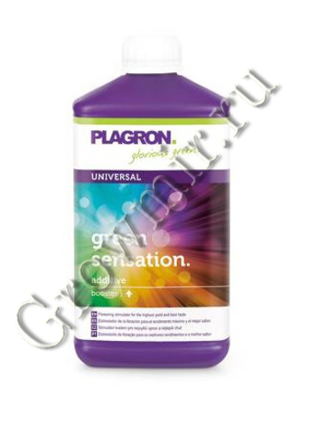 Green sensation 500 ml